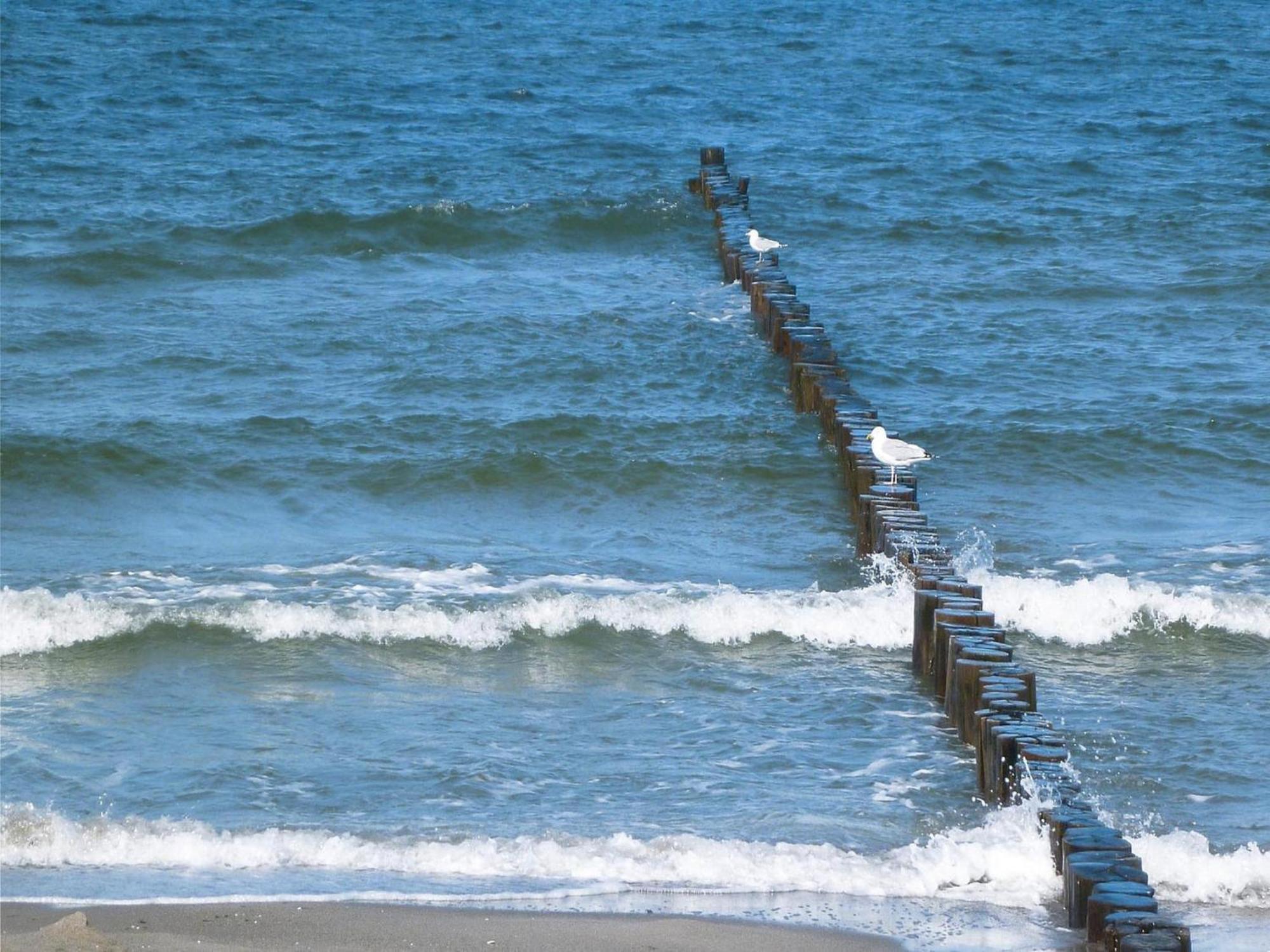 Apartment In Boltenhagen Near The Sea ภายนอก รูปภาพ